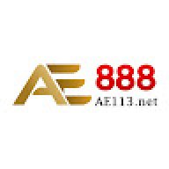 ae113net